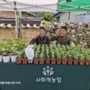 지리산해뜨네 이미지