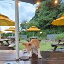 넓은 다락방 이미지