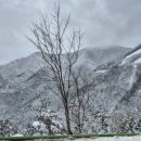 옛날집녹원갈비 이미지