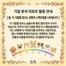 멍학교 | 강아지 분리불안 교육 [프래들 애견학교] 멍BTI 체험후기
