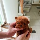 퍼피 라이프 이미지