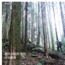 힐링올레 이미지