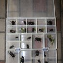 등화주유소 이미지