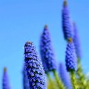 엄마의 행복 이미지