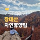 오대리 공중화장실 11-04-1 | 늦가을 정취 가득했던 대전 당일치기 여행, 장태산 자연휴양림 사진 명당 포인트 정리