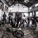 쿠키헤어 이미지