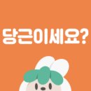 제이비마켓