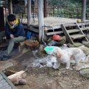 호수민박 이미지