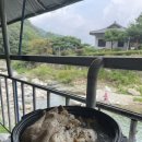 천하장사가든 이미지