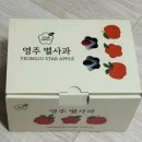 영주광고 | 🍎 찐내돈내산｜영주 별사과 솔직 후기