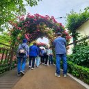 장미공원 화장실 | 실시간 2025 중랑 서울장미축제 중랑천 중랑장미공원 주차 후기