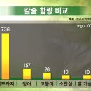 둠벙추어탕 | 한국인의밥상 26회 :: 여름 보양식 음식 특집 제 2편 : 미꾸라지와 시래기의 ‘환상궁합, 추어탕’