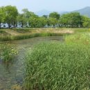 다산생태공원 이미지