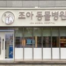 조아동물병원 이미지