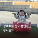 경주 루지월드 티켓 가격 할인받아 사고 아이랑 동반탑승
