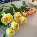 꽃이랑 잔뜩 행복했던 두 달 💐 테라스 꾸까 플로리스트 마스터 입문 | 플라워클래스 내돈내산 후기