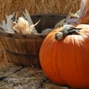 호박한의원 이미지