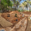 리틀미까사 이미지