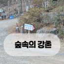 숲속의강촌 | 춘천 강촌 펜션 / 숲속의 강촌 숙박 후기