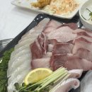 탐나종합어시장(등촌역점) | [내돈내산 맛집 탐방]등촌역횟집 탐나종합어시장 탐방일기