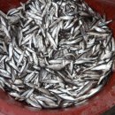 송재농장 이미지