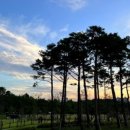 1-22호공원 이미지