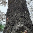 선 남원 추어탕 이미지