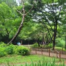 인천대공원(남문) 이미지