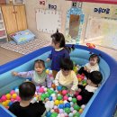볼풀장에서 놀아요! 이미지