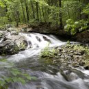 캠퍼스타운한의원 이미지