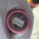 통이큰낙지 | 속초 중앙시장 맛집 황부자젓갈 / 짜지 않고 싱싱한 낙지젓 씨앗젓갈로 밥 한 그릇 순삭!