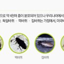 월드환경