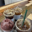 안면도해마루관광농원 | [태안/안면도] 안면도 가볼만한곳 미로공원 체험 추천 “바람아래관광농원” 내돈내산 찐후기 🌳🤎