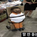 통통복권