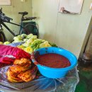 영자농장 이미지