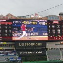 3루지정석
