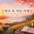 피고 또 지는 사랑 | Love That Bloomed and Faded | 감성 블루스 발라드 이미지