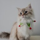 계양메디칼센터 이미지