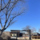 실로암 | 양양여행 필수코스 🍜 실로암 메밀국수 솔직 후기