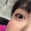 눈썹쟁이 | 인계동속눈썹펌 눈썹쟁이 직모 속눈썹도 바짝 올라간 후기