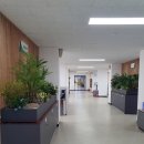 해성사무용가구 | 실내조경,인조나무,실내인테리어,조화나무, 전농동 해성국제컨벤션고등학교 실내공간 플랜트박스 설치로...