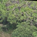 신원메디칼 | 등촌동누수탐지 꼼꼼 점검 후기