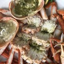 명성게찜 이미지