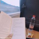 넥스트 호텔(Next Hotel) 이미지