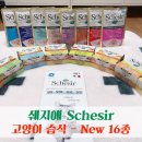쉐지애(Schesir) 고양이 습식 - New 총 16종 &#39;◡&#39;