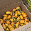 단감약국 이미지