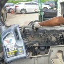 그린카마스타 이미지