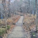 현충근린공원(유아숲체험장) 이미지