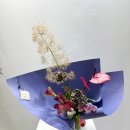 베티그린