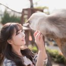 고양이정원 이미지